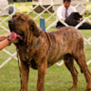 Meet your Posher, Lorena